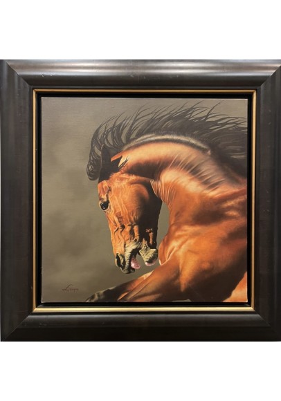 LOT 45