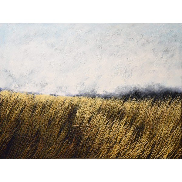 ALEXANDAR ZAFIROVSKY (1984) - GOLDEN FIELD