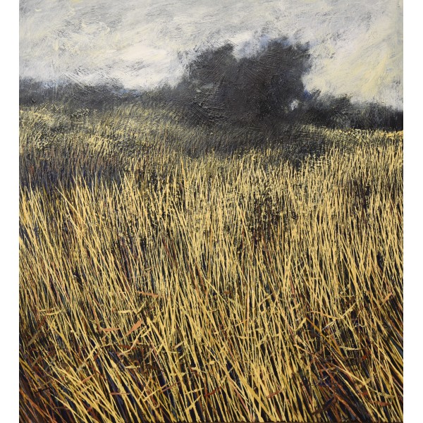 ALEXANDAR ZAFIROVSKY (1984) - SUNDAY