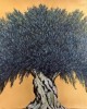 NEKTARIOS APOSPORIS – (1979 – ) – OLIVE TREE 
