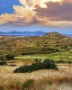 ΑΝΤΩΝΙΟΣ ΑΣΠΡΟΜΟΥΡΓΟΣ - ΣΥΡΟΣ