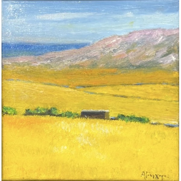 ΑΝΝΑ ΓΡΗΓΟΡΑ (1959 - ) - ΤΟΠΙΟ ΤΗΣ ΑΝΔΡΟΥ