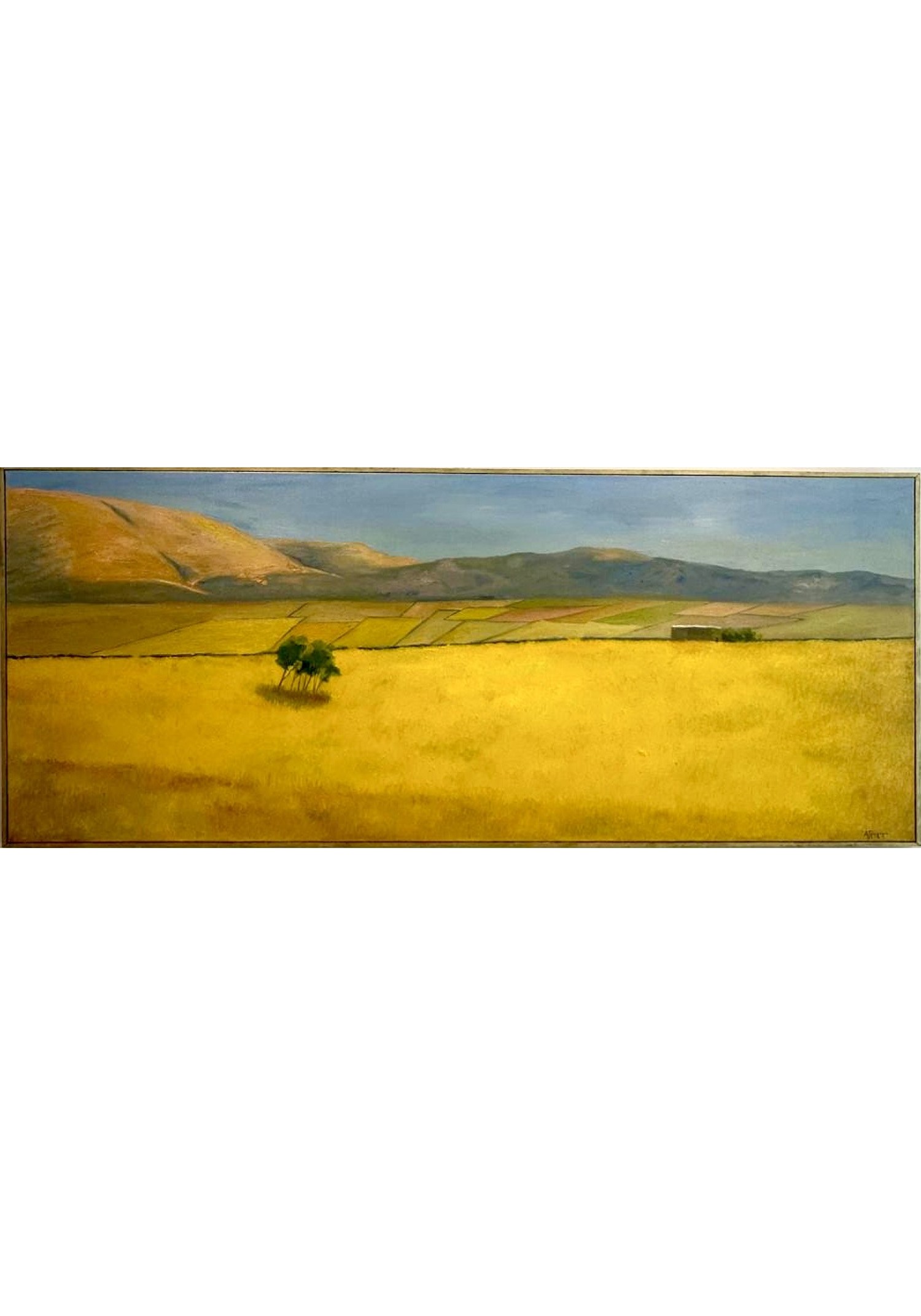 Αναζήτηση