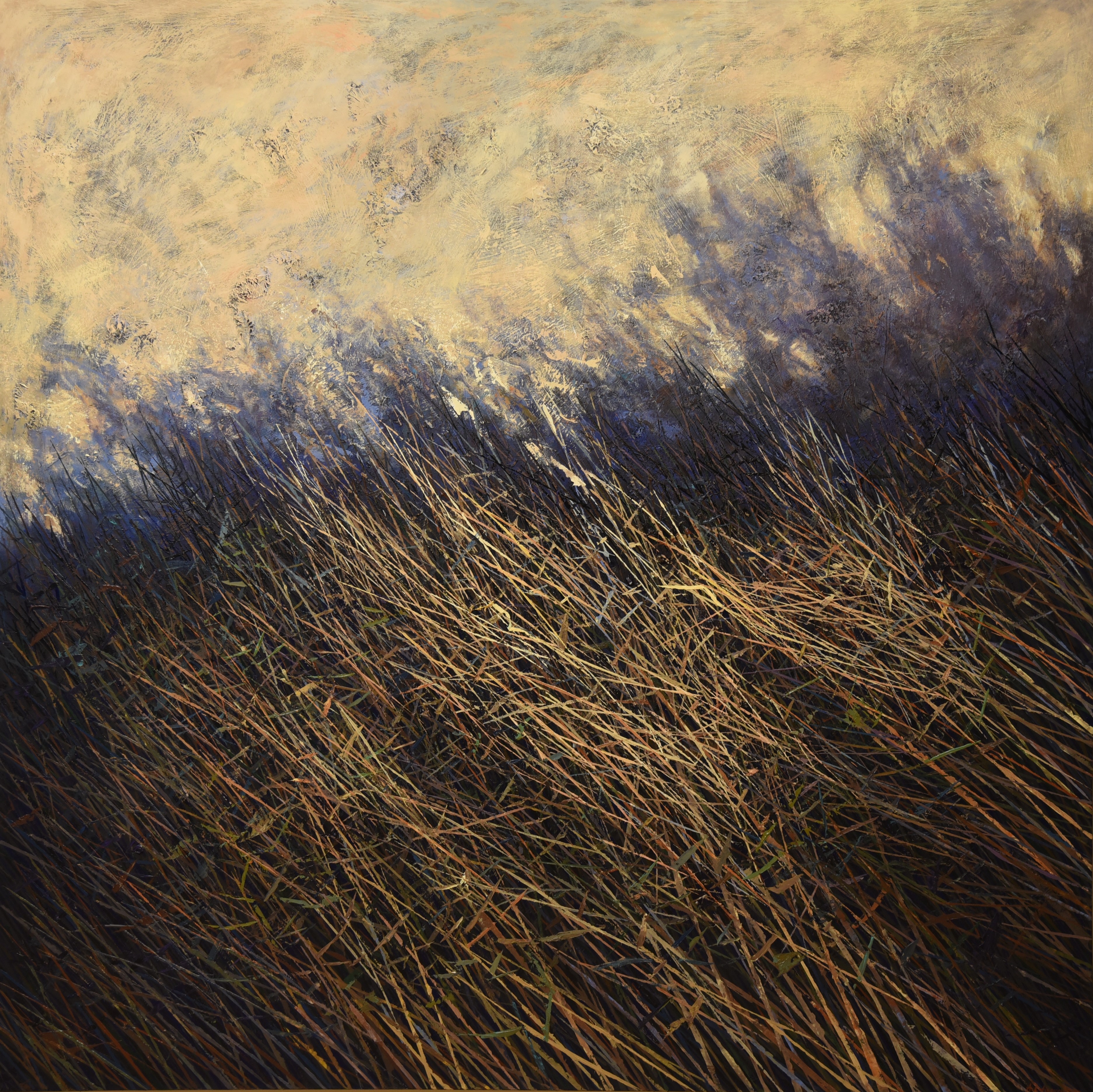 ALEXANDAR ZAFIROVSKY (1984) - FLICKERING SHADOW