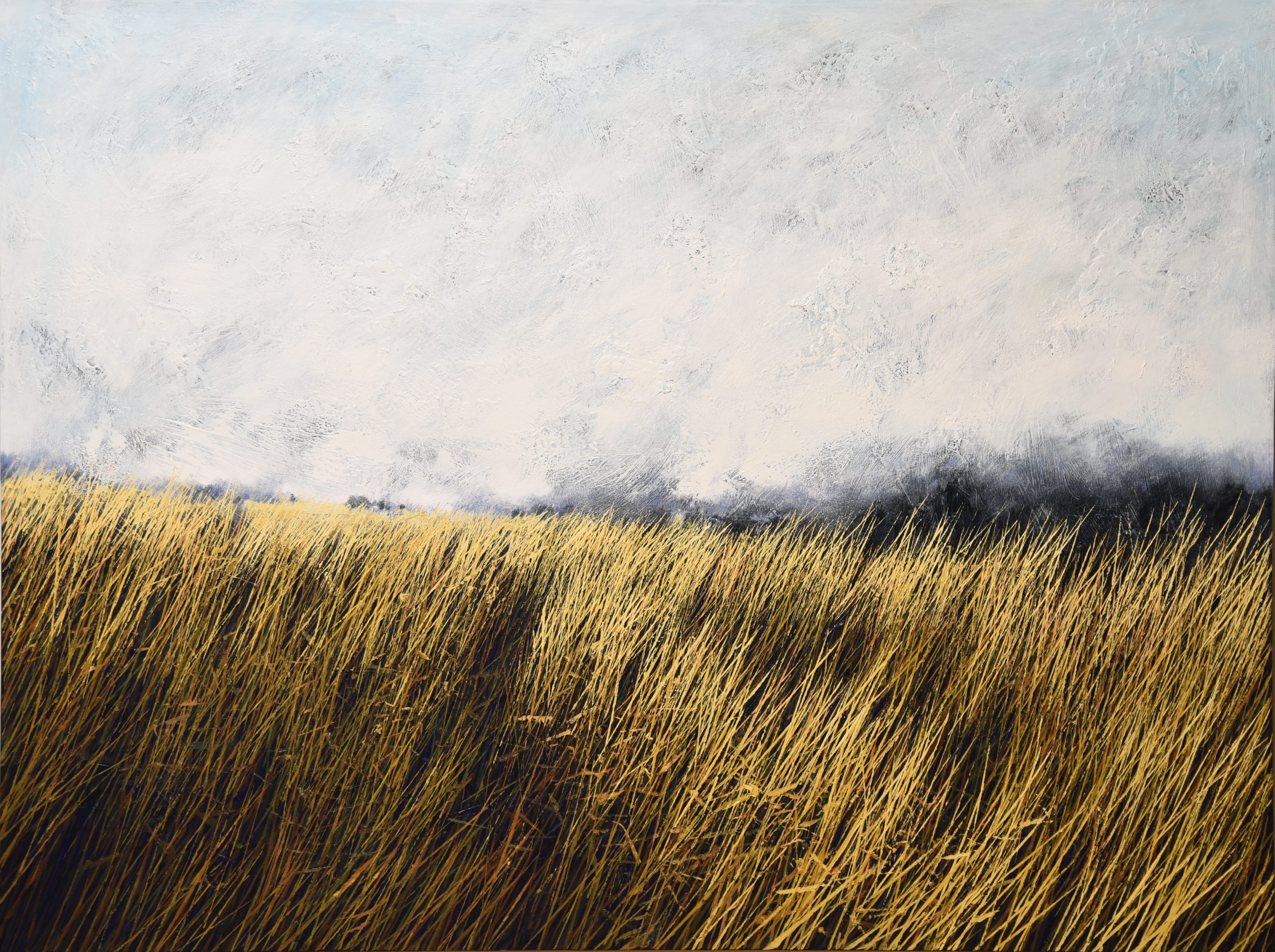 ALEXANDAR ZAFIROVSKY (1984) - GOLDEN FIELD