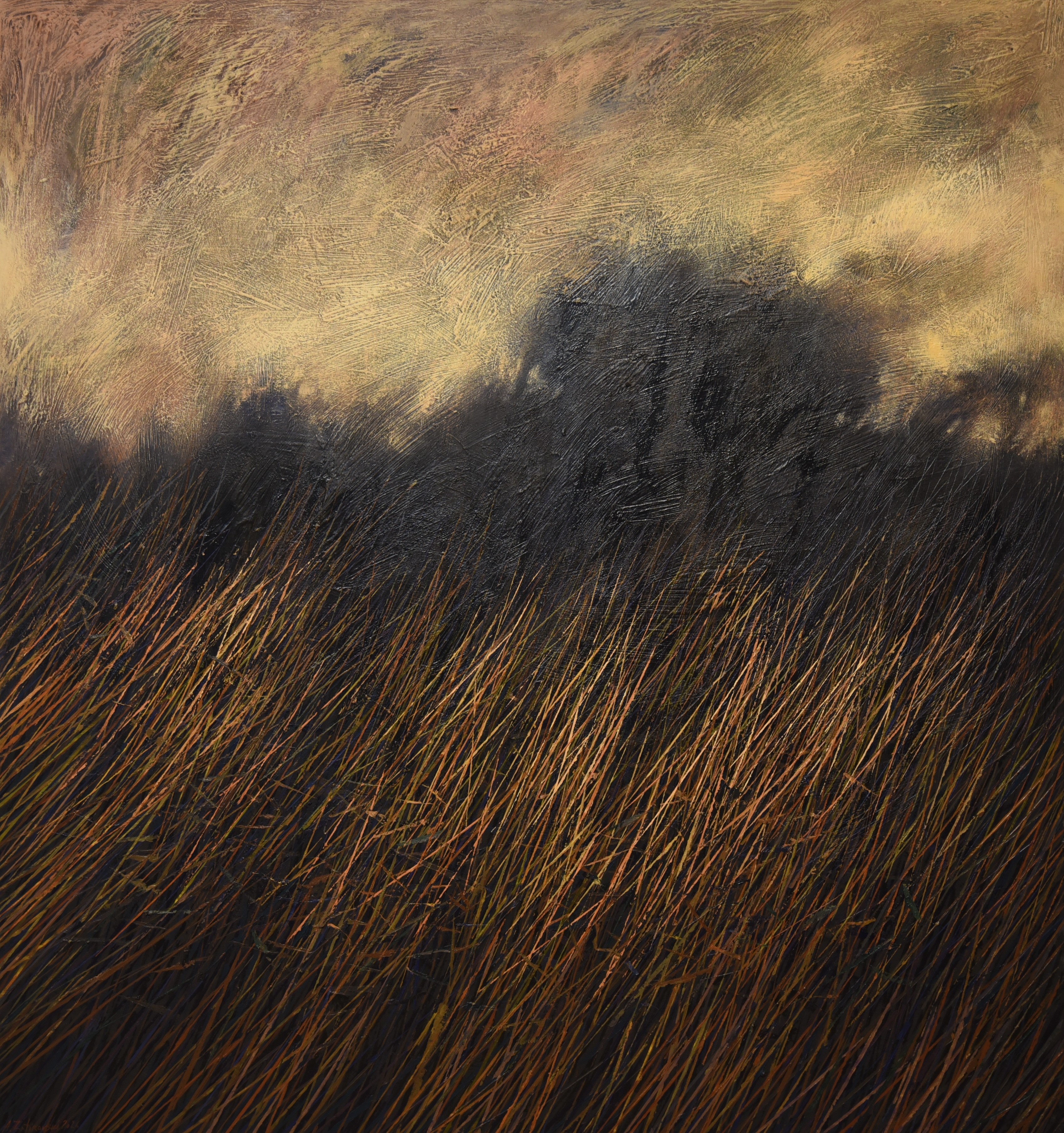 ALEXANDAR ZAFIROVSKY (1984) - MOONLIGHT