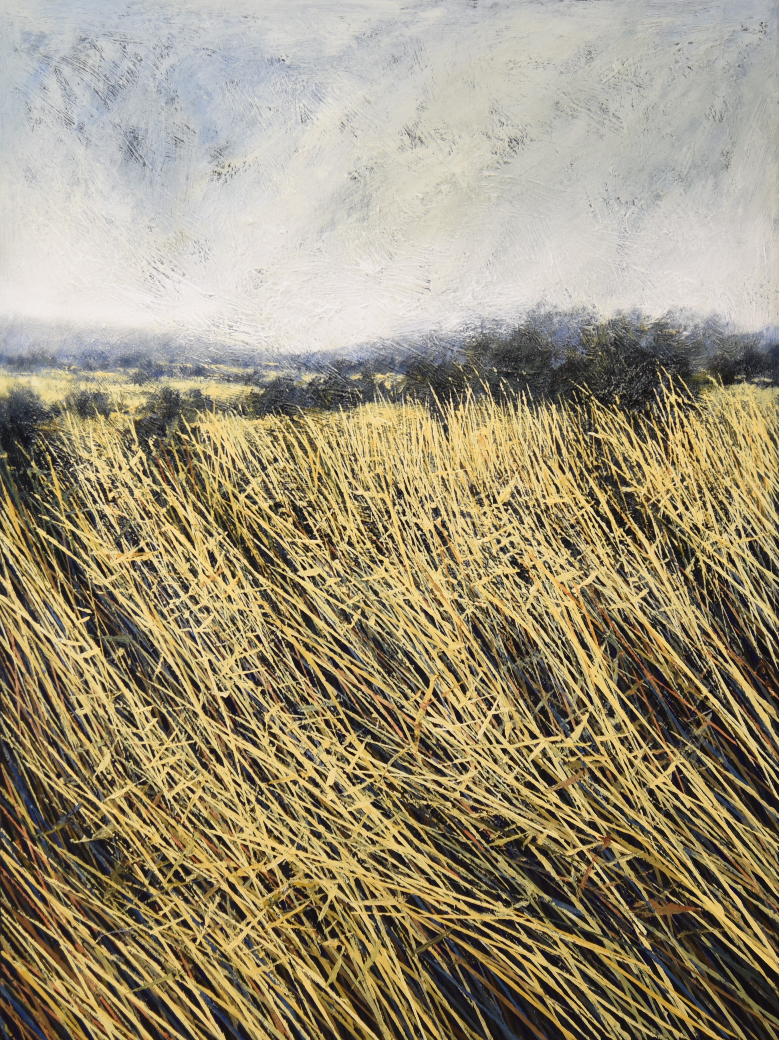 ALEXANDAR ZAFIROVSKY (1984) - SUMMER