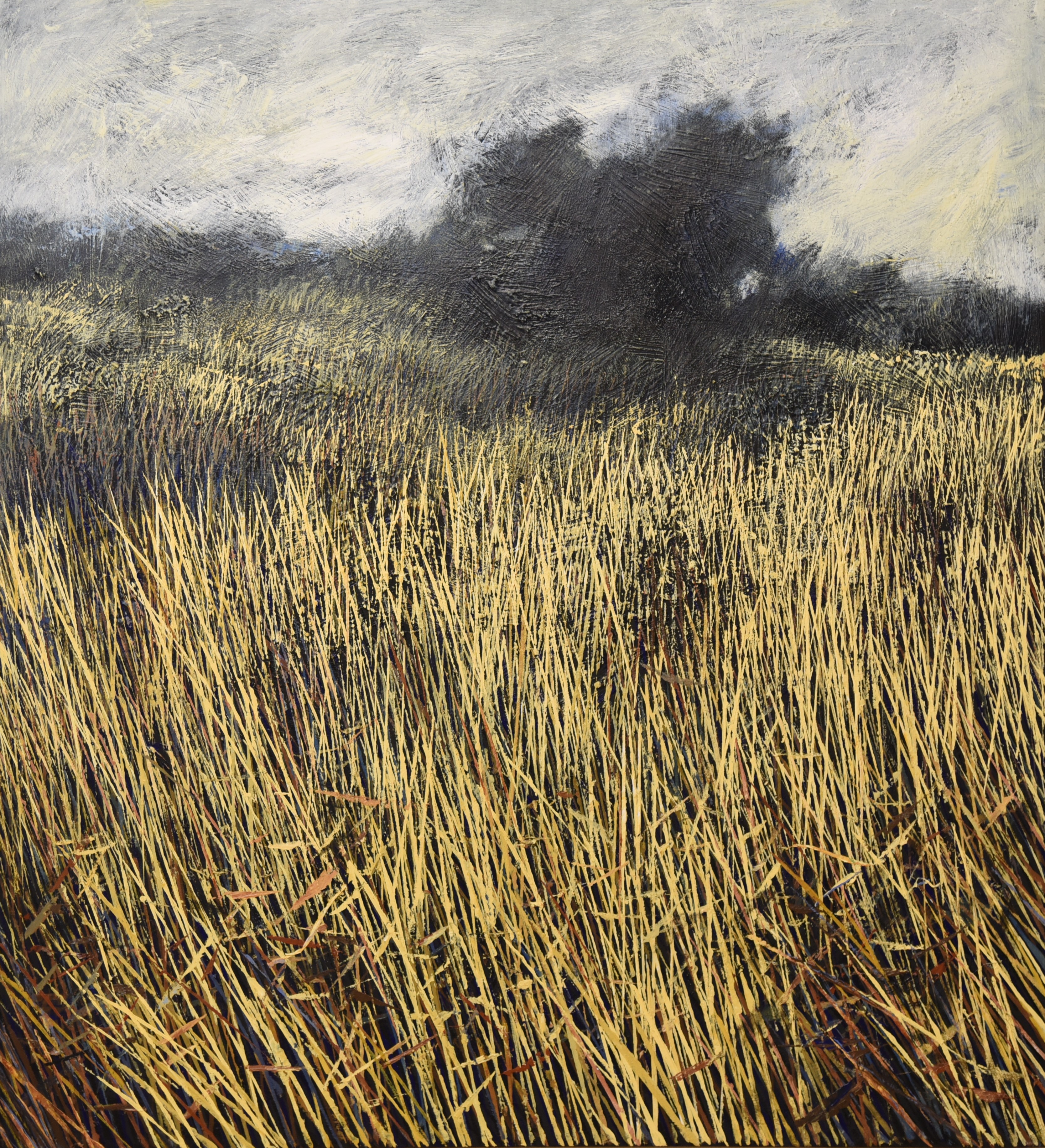 ALEXANDAR ZAFIROVSKY (1984) - SUNDAY