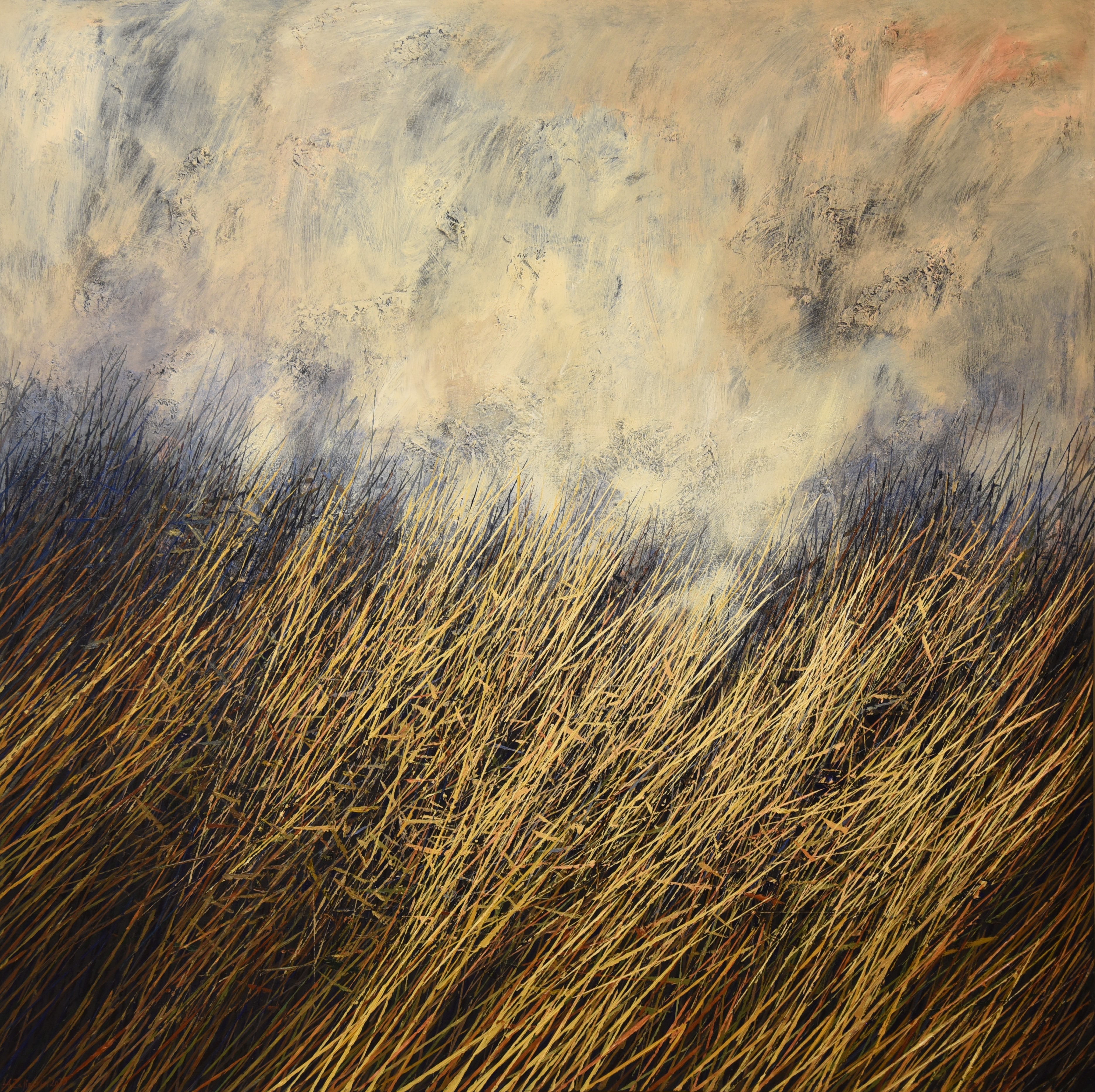 ALEXANDAR ZAFIROVSKY (1984) - THE SOUND OF MEADOW