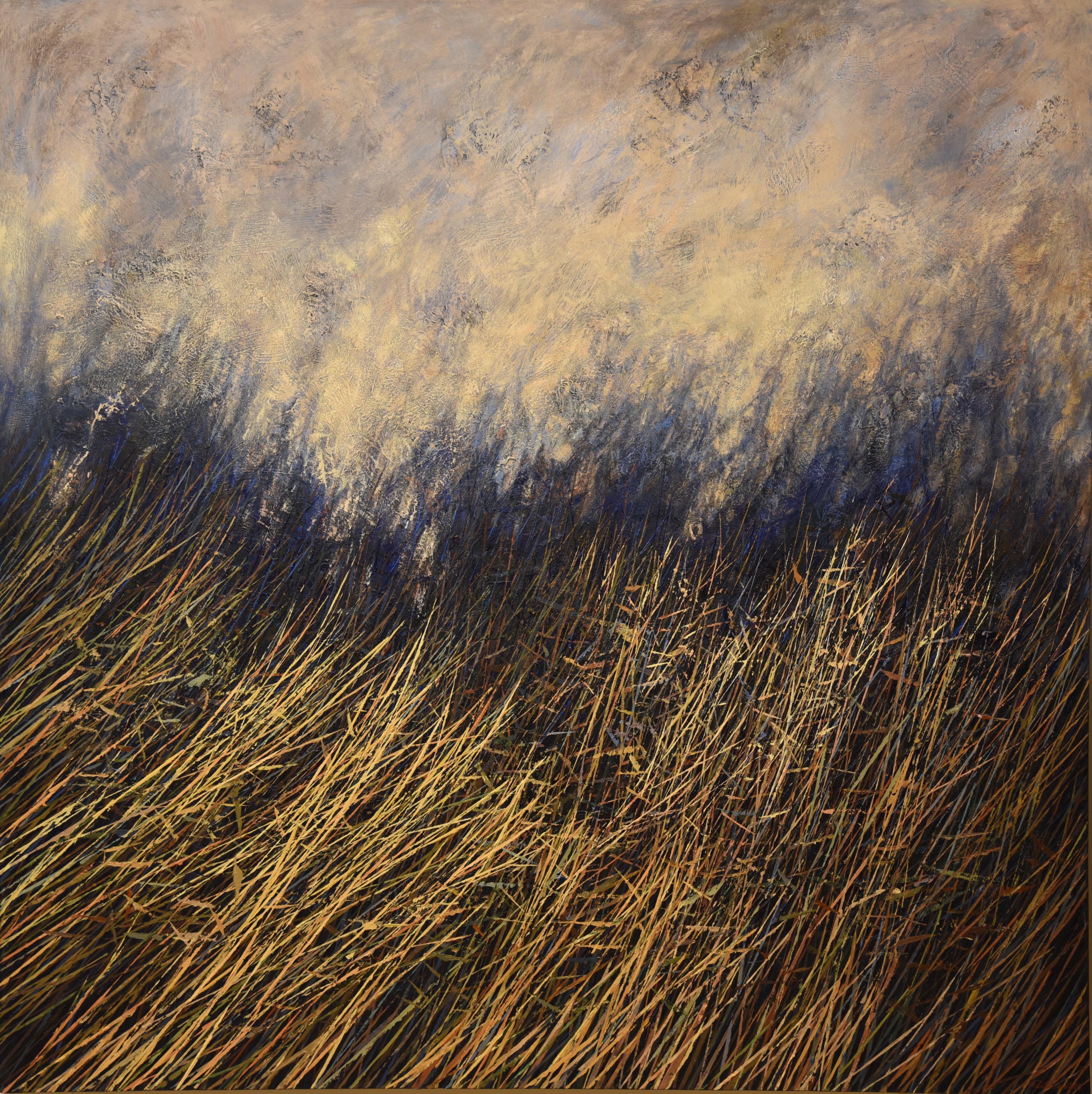 ALEXANDAR ZAFIROVSKY (1984) - TICKLING SHADOW