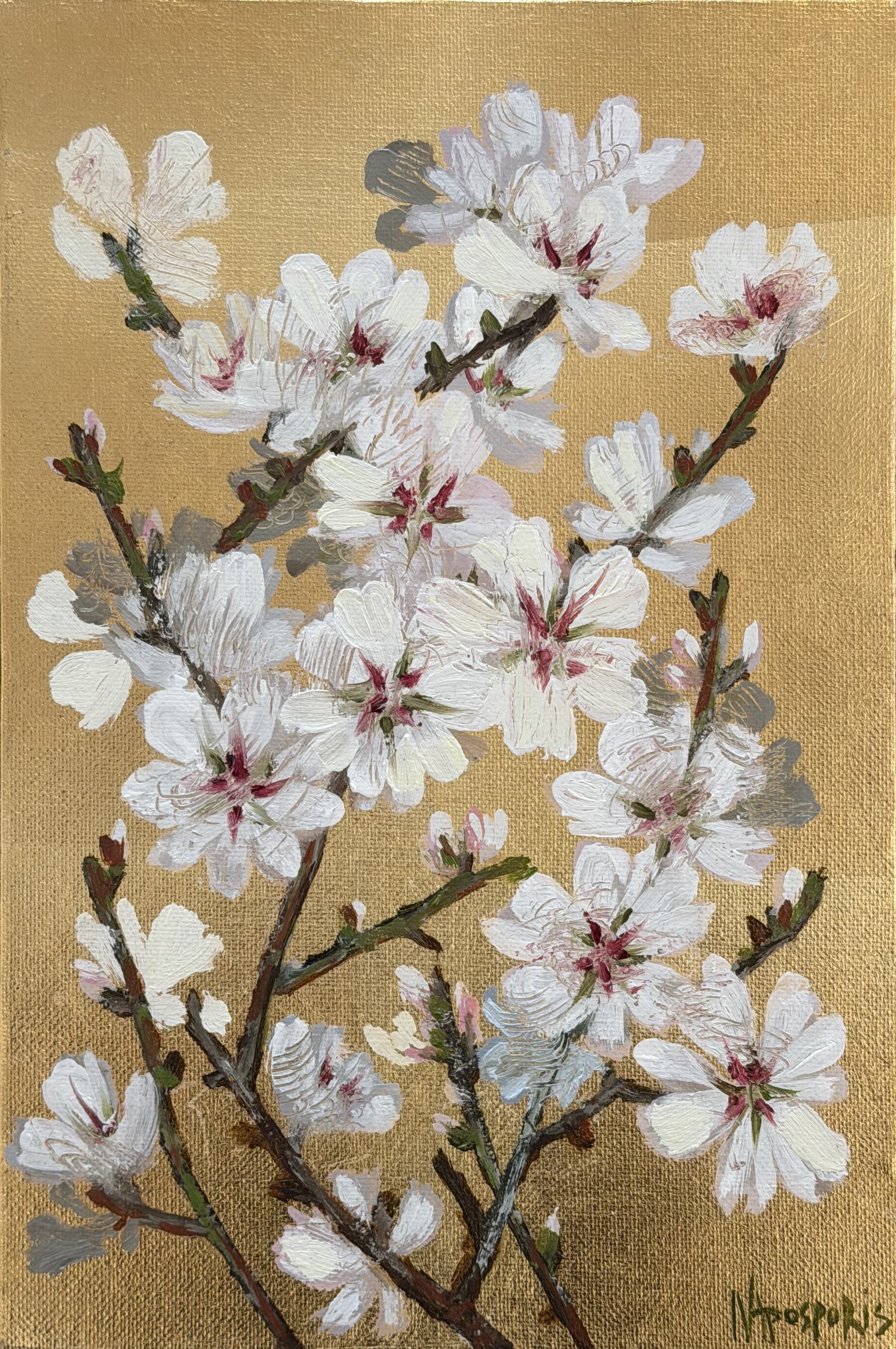 ΝΕΚΤΑΡΙΟΣ ΑΠΟΣΠΟΡΗΣ - ΚΛΑΔΙ ΑΜΥΓΔΑΛΙΑΣ