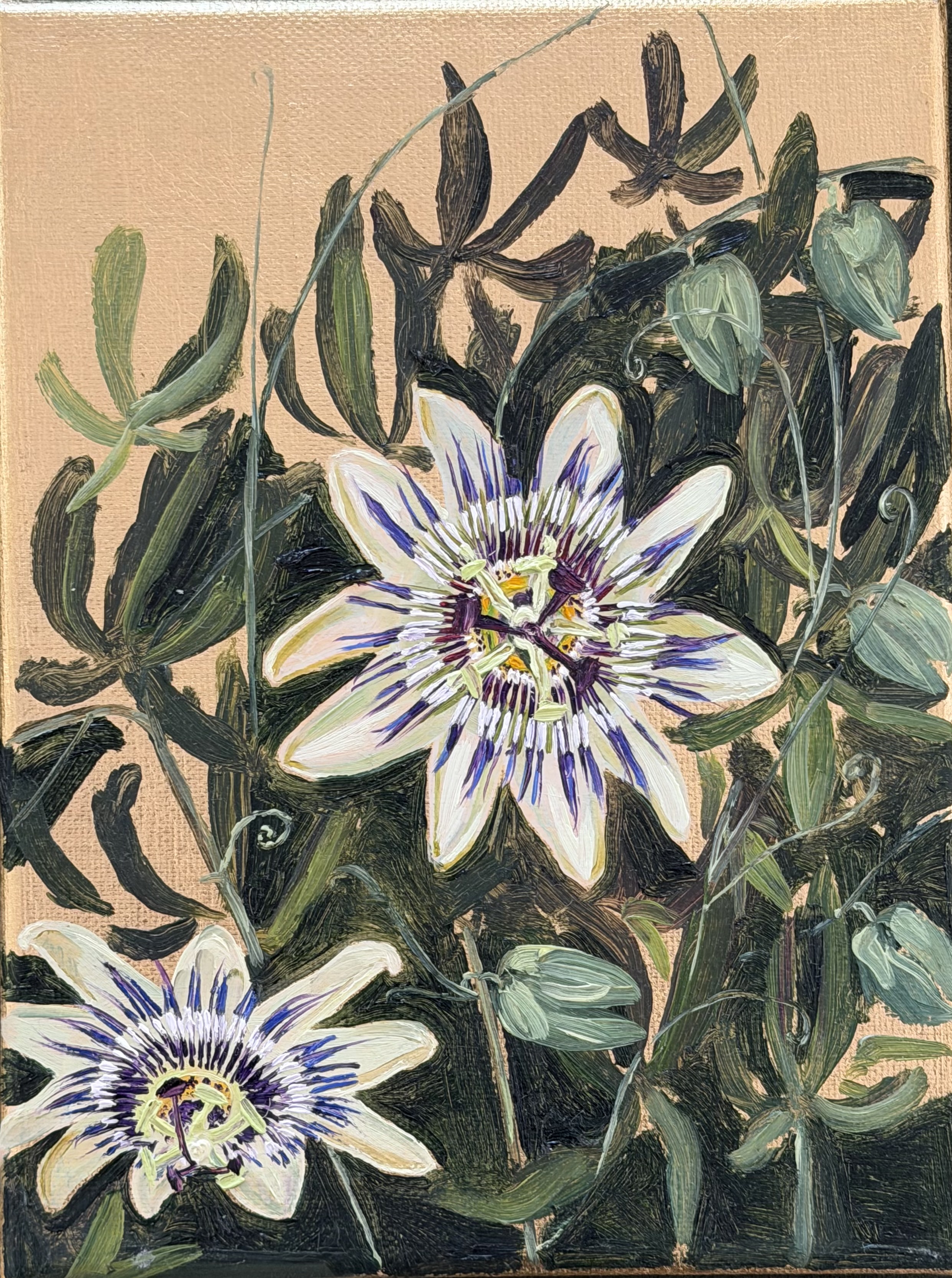 ΝΕΚΤΑΡΙΟΣ ΑΠΟΣΠΟΡΗΣ - (1979 - ) - PASSIFLORA