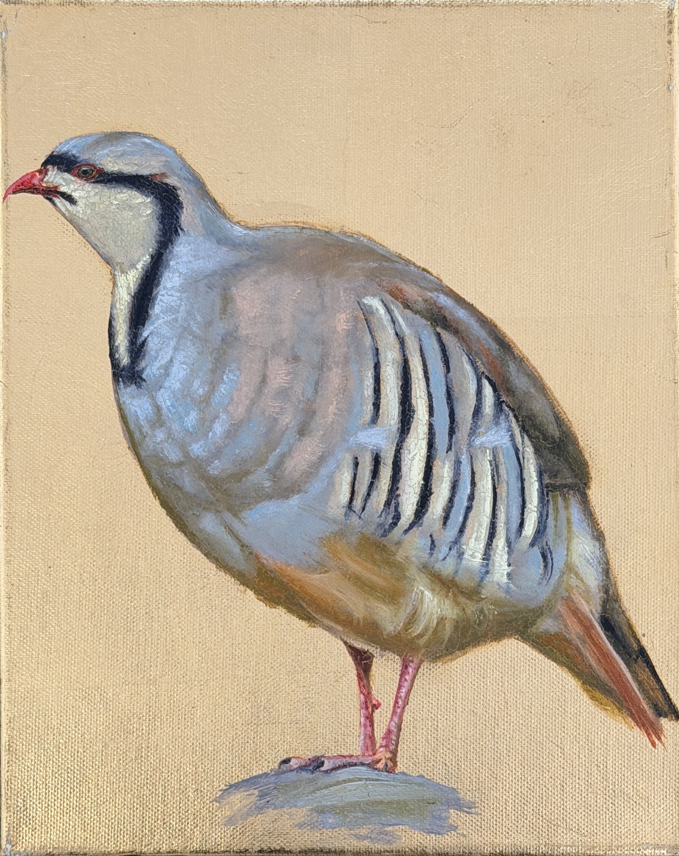 ΝΕΚΤΑΡΙΟΣ ΑΠΟΣΠΟΡΗΣ - ΠΕΡΔΙΚΑ