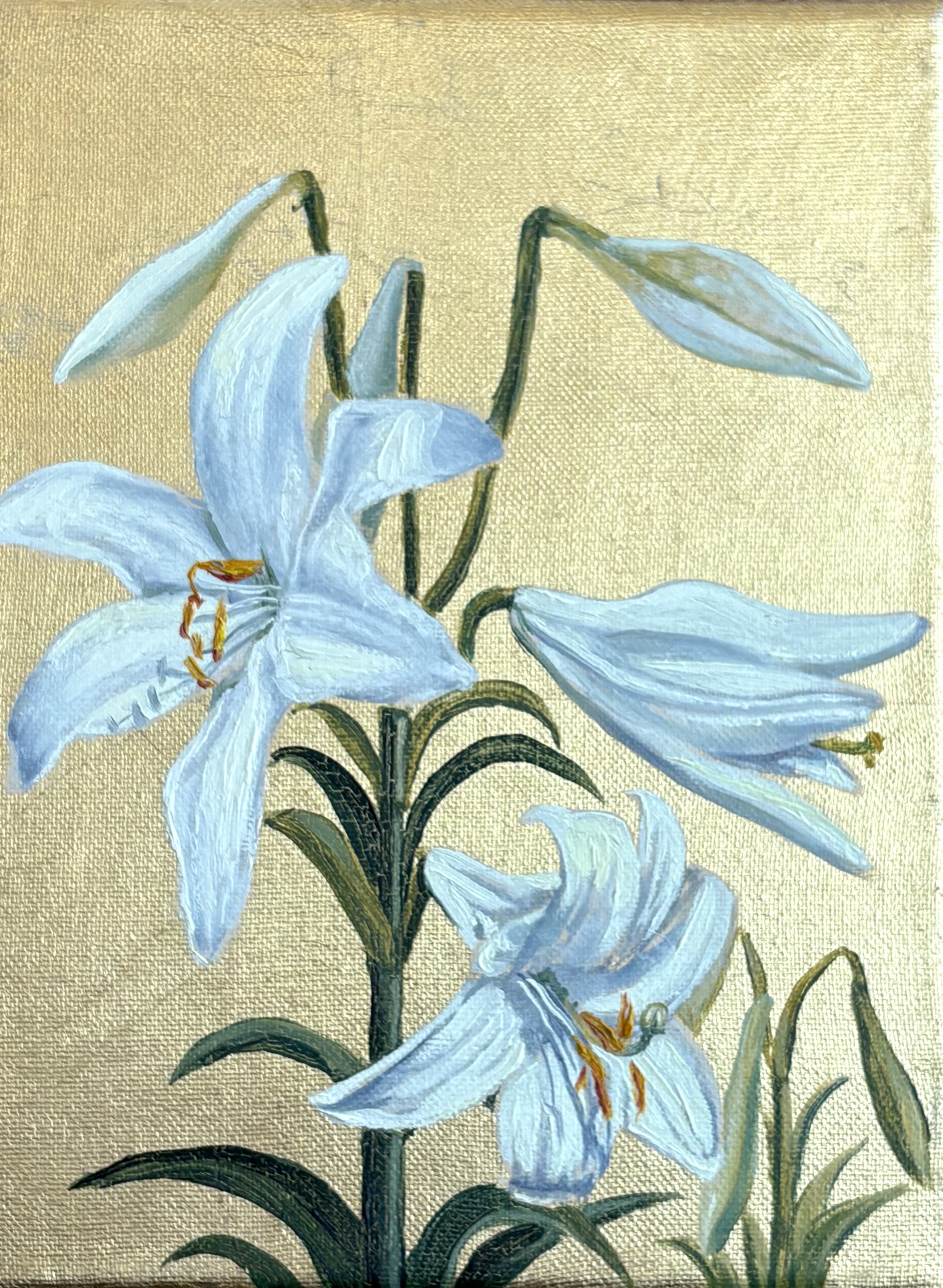  ΝΕΚΤΑΡΙΟΣ ΑΠΟΣΠΟΡΗΣ - (1979 - ) - ΛΕΥΚΟΙ ΚΡΙΝΟΙ 