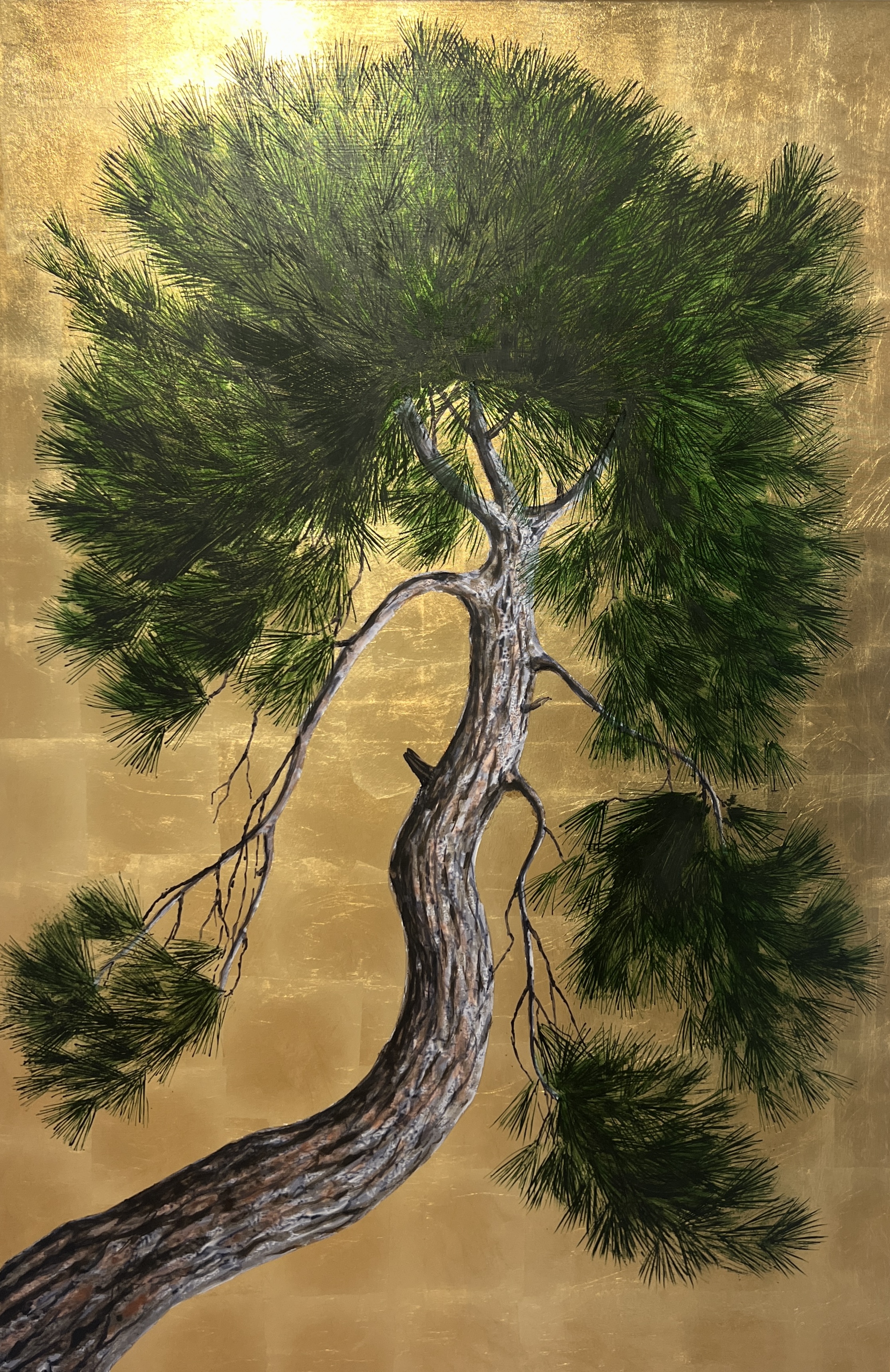 ΝΕΚΤΑΡΙΟΣ ΑΠΟΣΠΟΡΗΣ - (1979 - ) - ΠΕΥΚΟ 