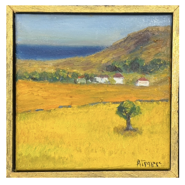 ΑΝΝΑ ΓΡΗΓΟΡΑ (1959 - ) - ΤΟΠΙΟ ΤΗΣ ΑΝΔΡΟΥ