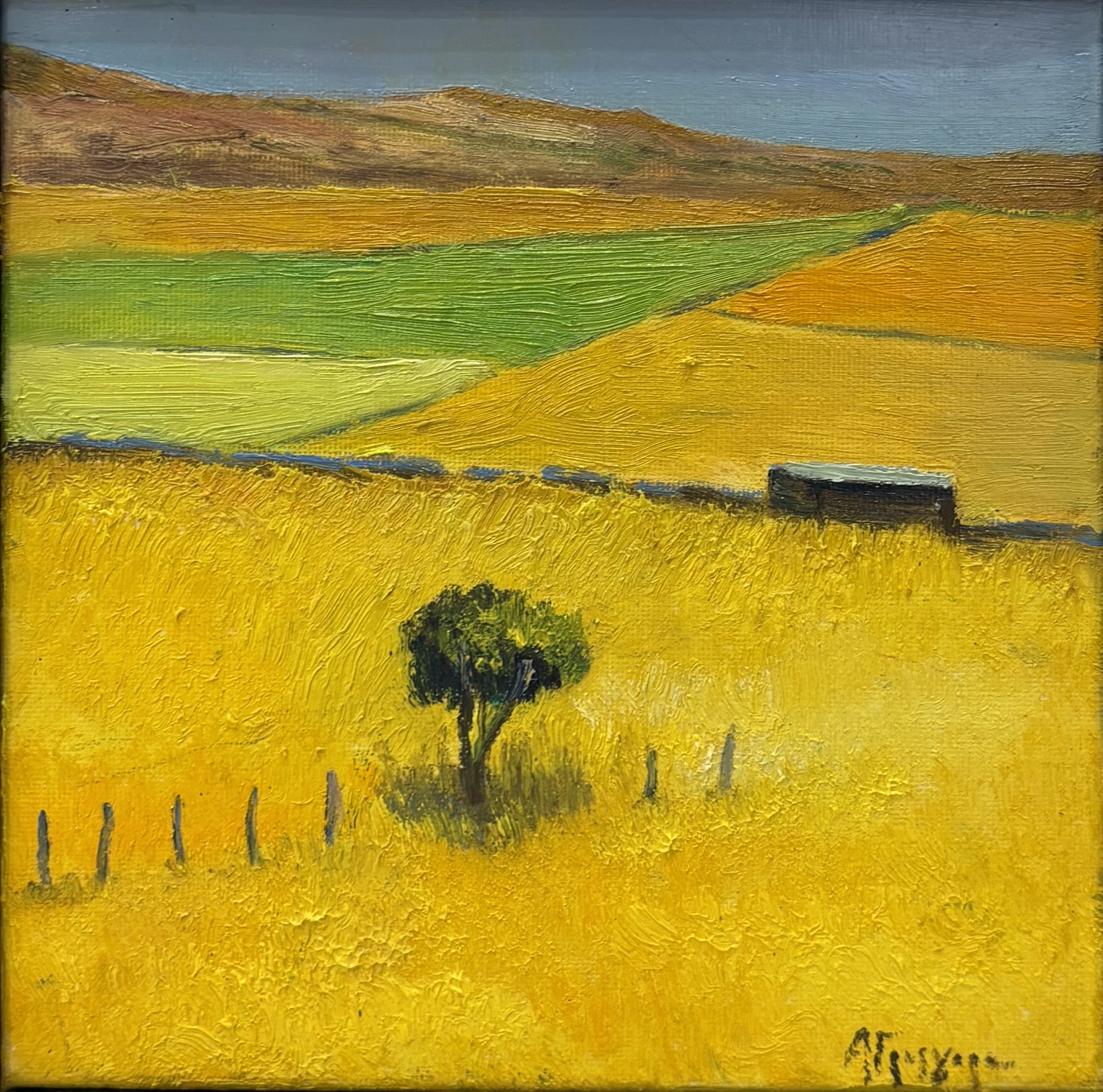 ΑΝΝΑ ΓΡΗΓΟΡΑ (1959- ) - ΤΟΠΙΟ ΤΗΣ ΑΝΔΡΟΥ