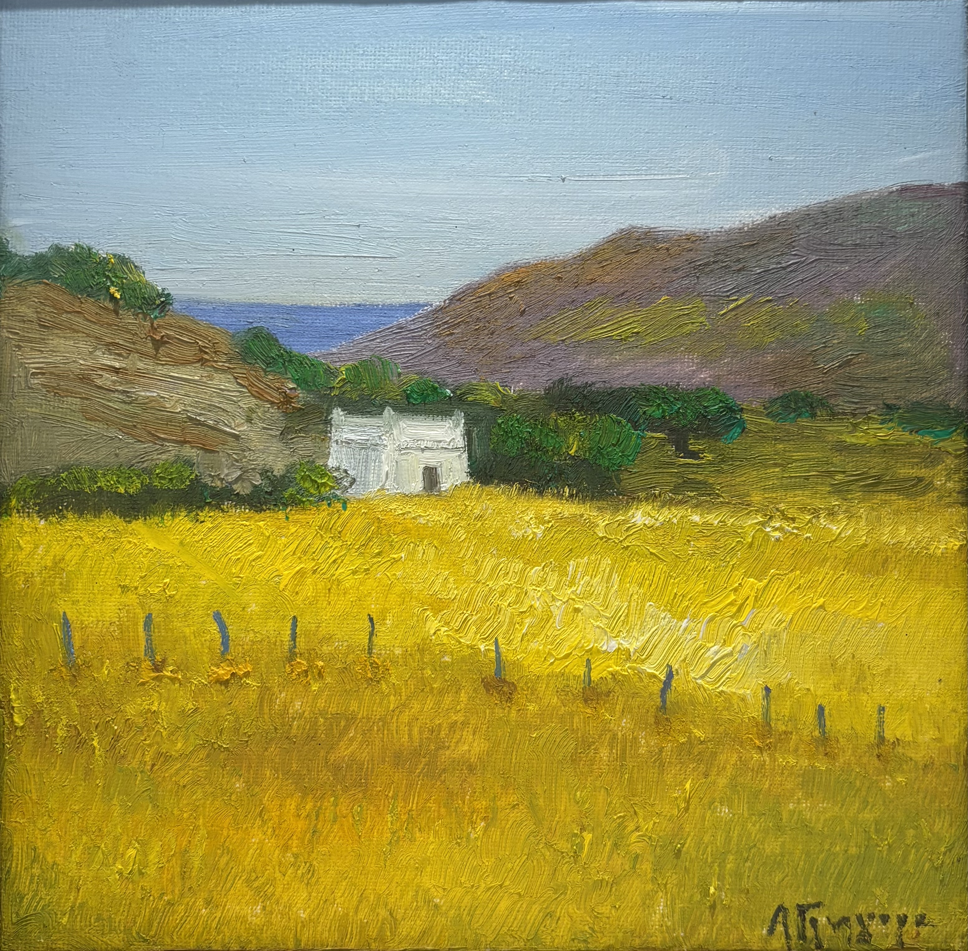 ΑΝΝΑ ΓΡΗΓΟΡΑ (1959 - ) - ΤΟΠΙΟ ΤΗΣ ΑΝΔΡΟΥ