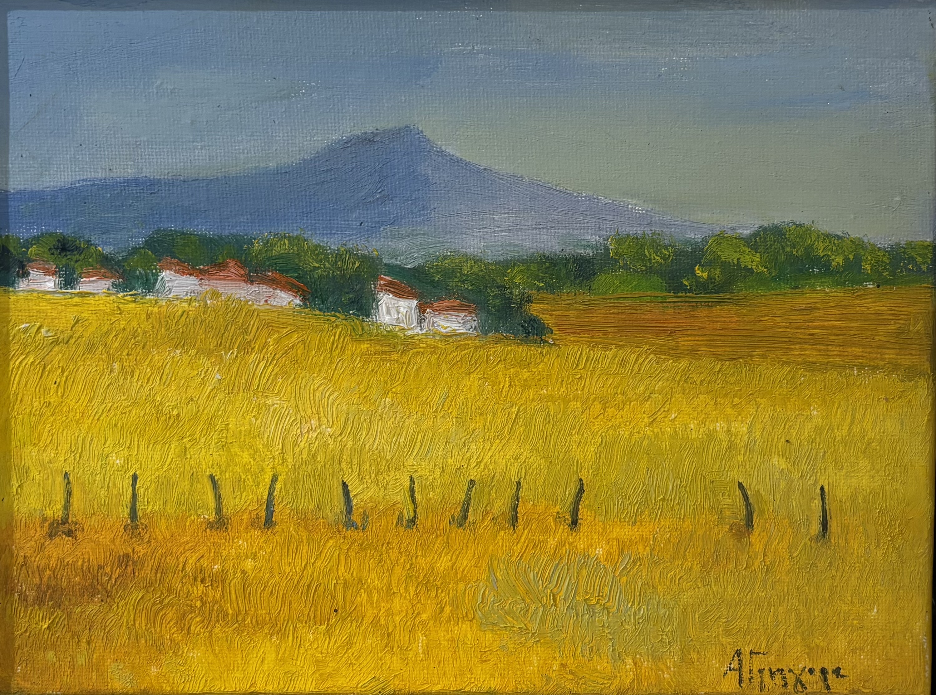 ΑΝΝΑ ΓΡΗΓΟΡΑ (1959 - ) - ΤΟΠΙΟ ΤΗΣ ΑΝΔΡΟΥ