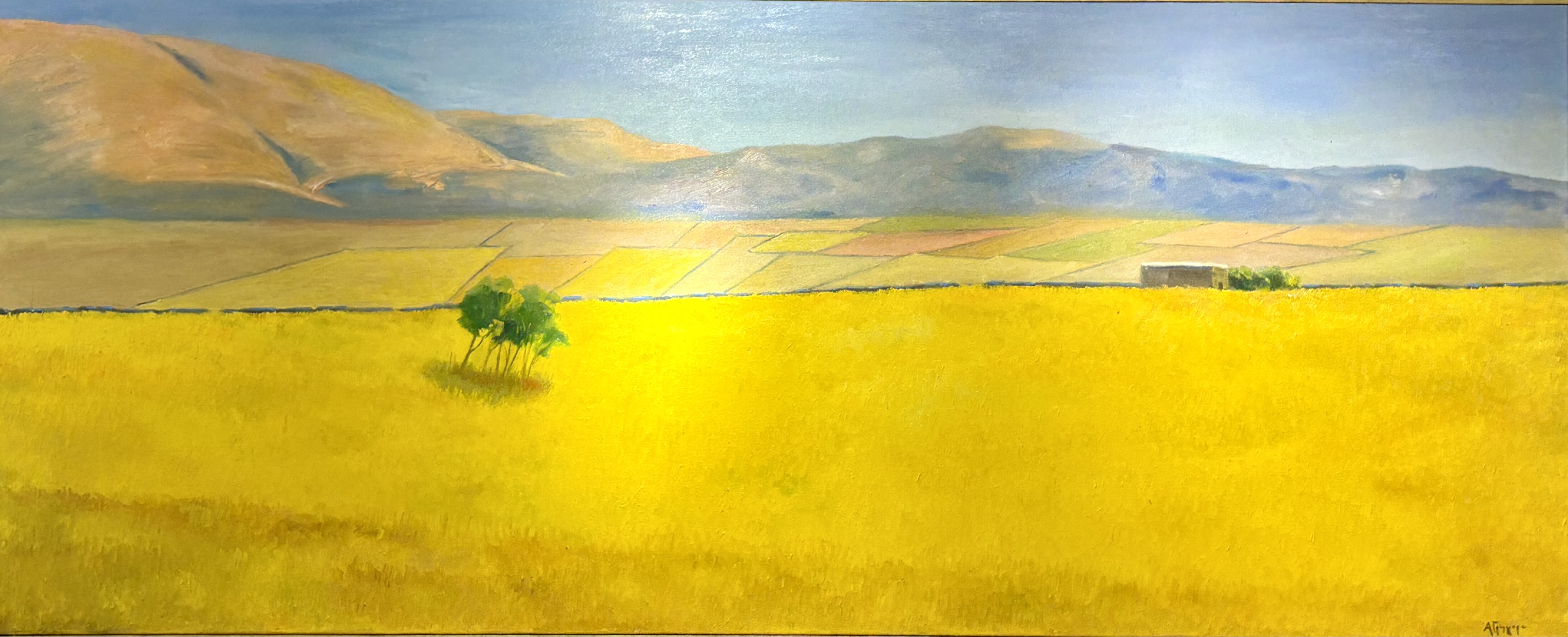 ΑΝΝΑ ΓΡΗΓΟΡΑ - (1959- ) - ΤΟΠΙΟ ΤΗΣ ΑΝΔΡΟΥ