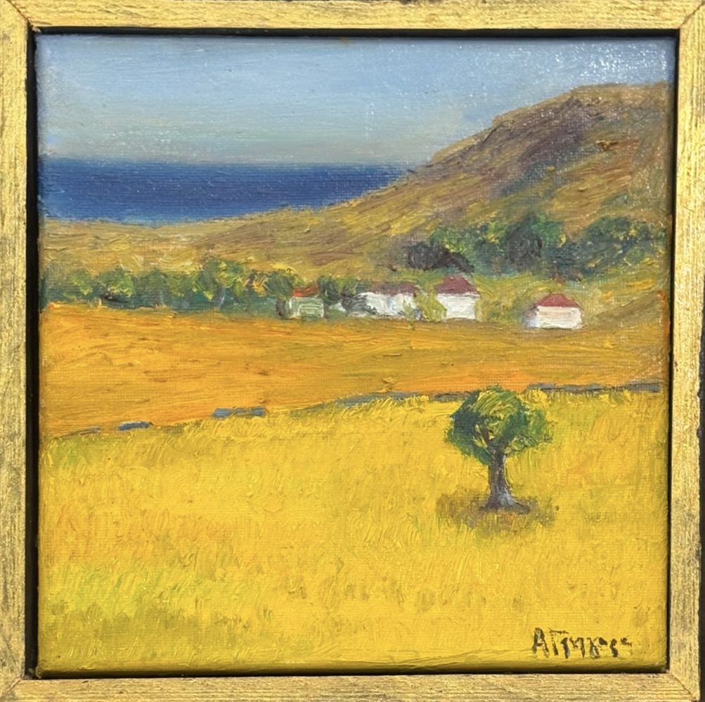 ΑΝΝΑ ΓΡΗΓΟΡΑ (1959 - ) - ΤΟΠΙΟ ΤΗΣ ΑΝΔΡΟΥ